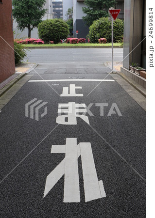 止まれ（東京都中央区日本橋付近） 24699814