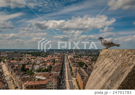 Panoramic view of Brussels Belgium 24701783