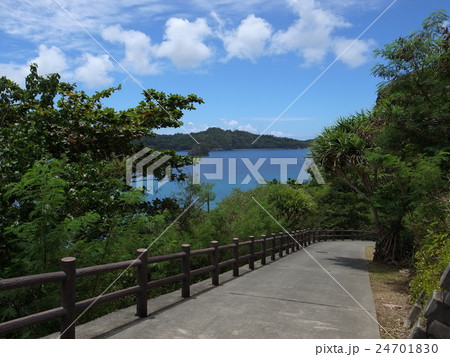 父島・境浦海岸 24701830