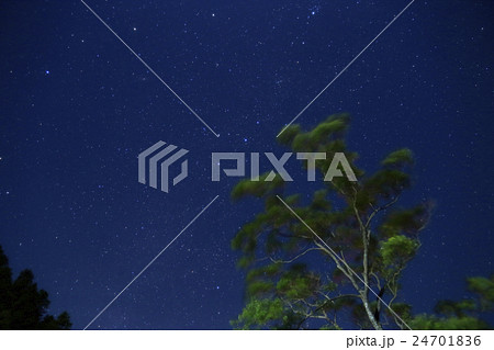 カシオペア座 24701836