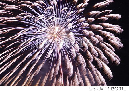 天体望遠鏡で撮影した花火 天体望遠鏡で撮影した花火 24702554