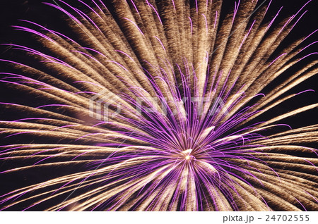 天体望遠鏡で撮影した花火 天体望遠鏡で撮影した花火 24702555