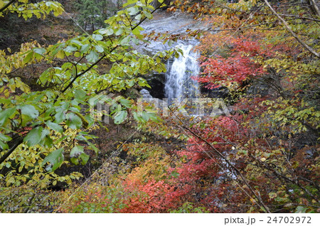 みたらい渓谷の紅葉 24702972
