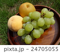 秋の味覚 24705055