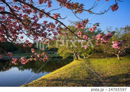 吉備路の春 吉備路の春 24705597