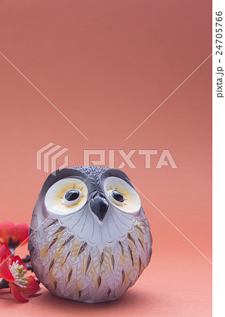 フクロウ（縦） 24705766