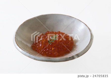 食べ物、いくら、つまみ、酒のさかな 24705835