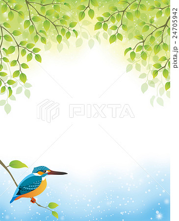 kingfisher by a river 24705942