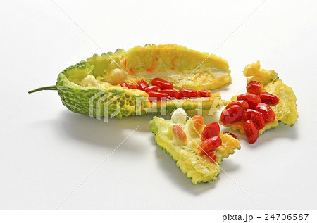 熟れたゴーヤ 熟れたゴーヤ 24706587