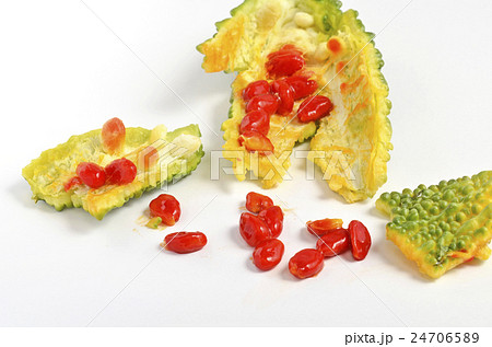 熟れたゴーヤ 熟れたゴーヤ 24706589