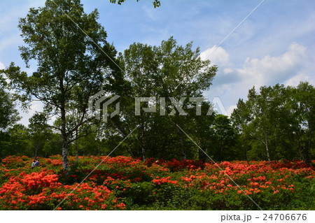 ほたか牧場へ行きました⑦ 24706676