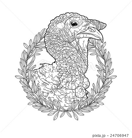 Graphic turkey head 24706947