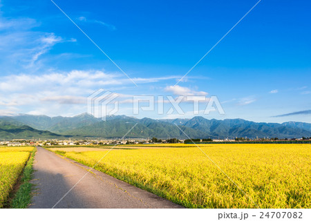 秋の信州 安曇野の田園風景と北アルプスの写真素材 [24707082] - PIXTA