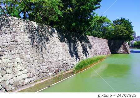 駿府城 駿府城 24707825