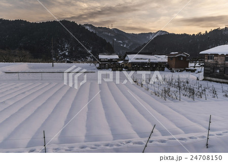 美山町 美山 ミヤマ 24708150