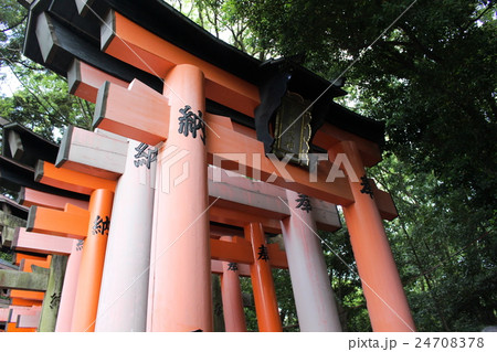 伏見稲荷大社 24708378