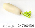 新鮮な大根 24708439