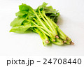 新鮮なほうれん草 24708440