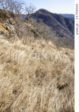石棚山稜の草原と同角ノ頭 24709000