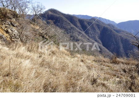 石棚山稜の草原と同角ノ頭 24709001