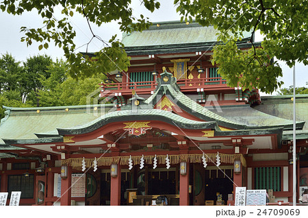 富岡八幡宮 24709069