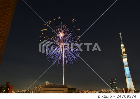 隅田川花火大会 24709574