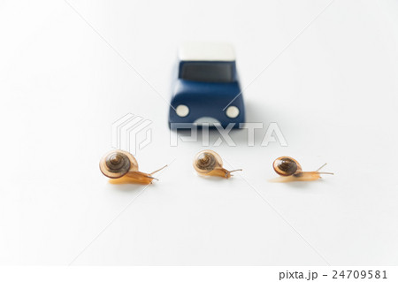 歩行者優先 歩行者優先 24709581