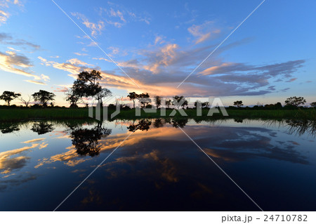 アフリカクルーズ04 24710782