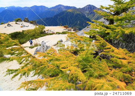 南アルプス・薬師岳のカラマツの黄葉と白峰三山 南アルプス・薬師岳のカラマツの黄葉と白峰三山 24711069