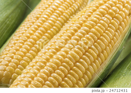 とうもろこし 24712431