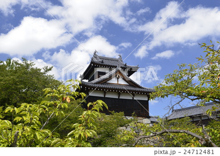 【奈良】郡山城 24712481