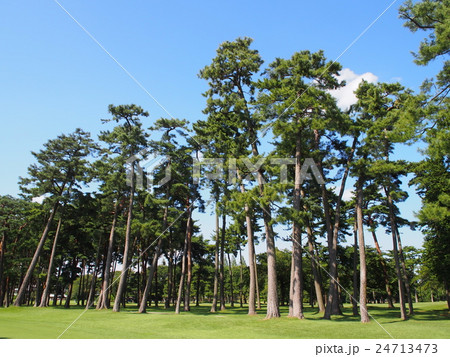 千葉のゴルフ場 千葉のゴルフ場 24713473