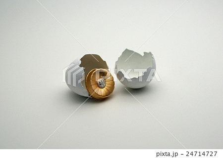 弁護士のたまご 24714727