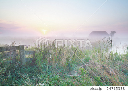 Dutch foggy farmland at sunrise Dutch foggy farmland at sunrise 24715338