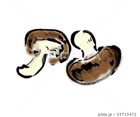 椎茸 椎茸 24715472