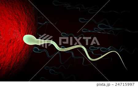 Cartoon illustration of human sperms and eggのイラスト素材 [24715997] - PIXTA