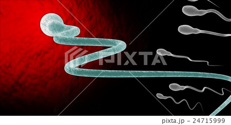Cartoon illustration of human sperms and egg 24715999