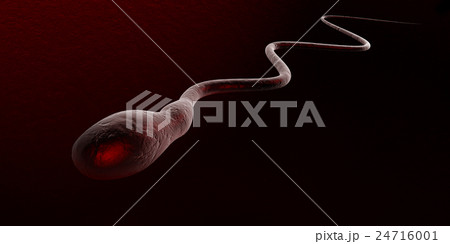 Cartoon illustration of human sperms and egg Cartoon illustration of human sperms and egg 24716001