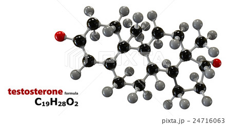 Testosterone neurotransmitter molecule 24716063