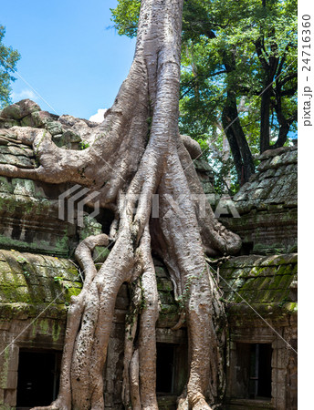 Angkor wat detail 24716360