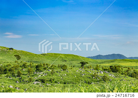 夏の秋吉台 24716716