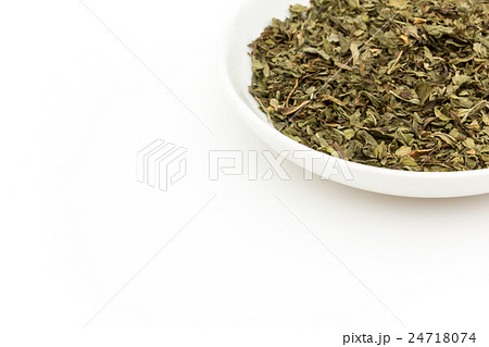 スペアミントの葉:spearmint leaf スペアミントの葉:spearmint leaf 24718074