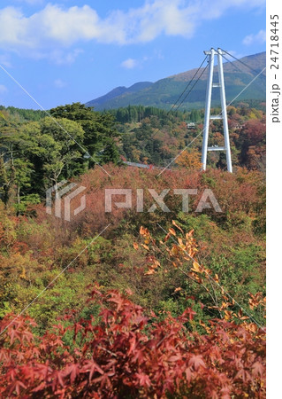 九重”夢”大吊橋　紅葉 24718445