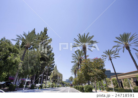 アナハイムの街並み アナハイムの街並み 24718591
