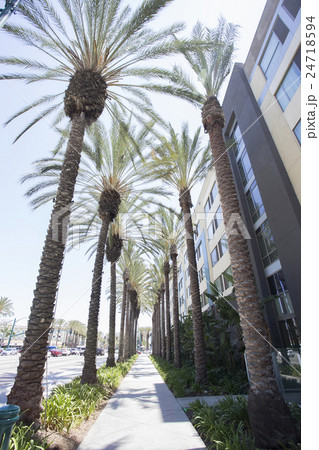 アナハイムの街並み アナハイムの街並み 24718594