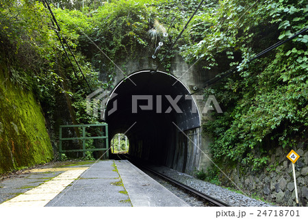 緑に覆われたトンネル 24718701
