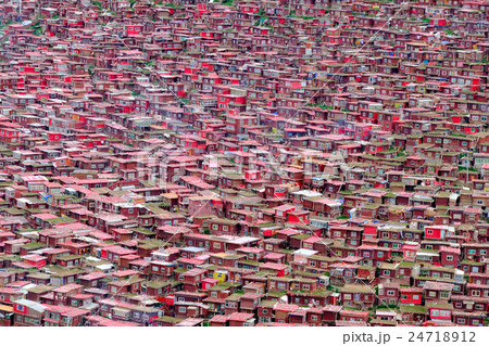 中国 チャイナ 磁器 24718912