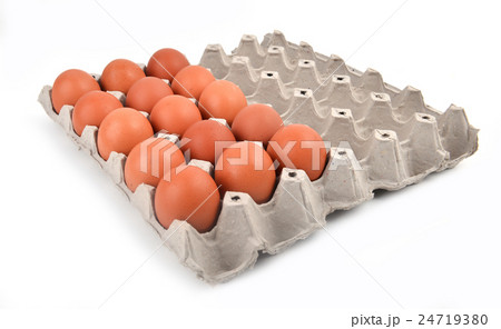 eggs in paper tray 24719380