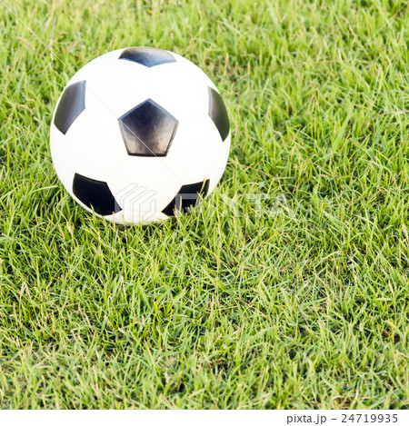 soccer ball on green grass 24719935