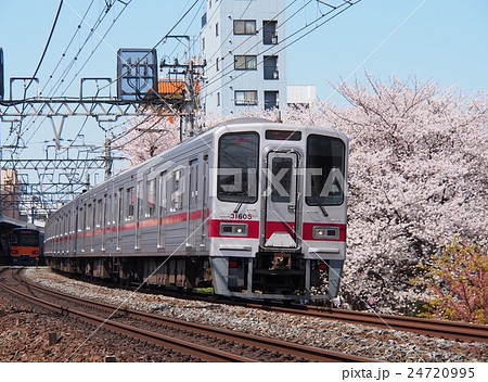 桜を背景に走る30000系 東武東上線 桜を背景に走る30000系 東武東上線 24720995